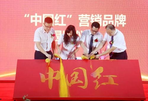 河源新闻媒体爆料,揭秘某重大事件背后真相  第3张